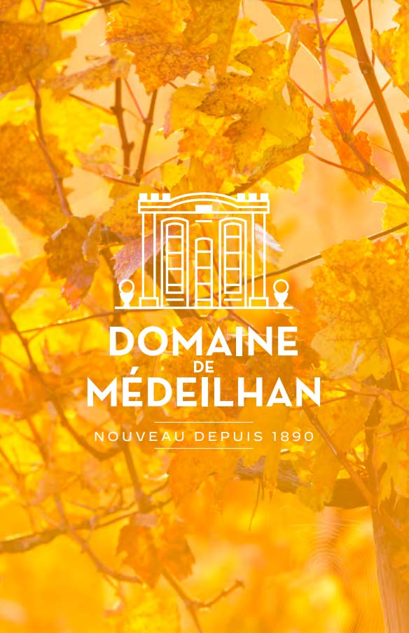 Dépliant Wine Paris 2023 - Domaine de Medeilhan